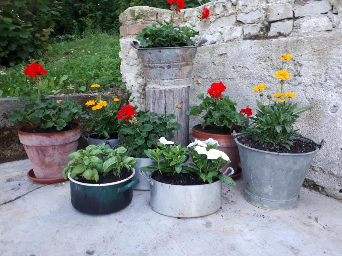 Bed and Breakfast Il Noccioletto Mombaruzzo Exterior foto